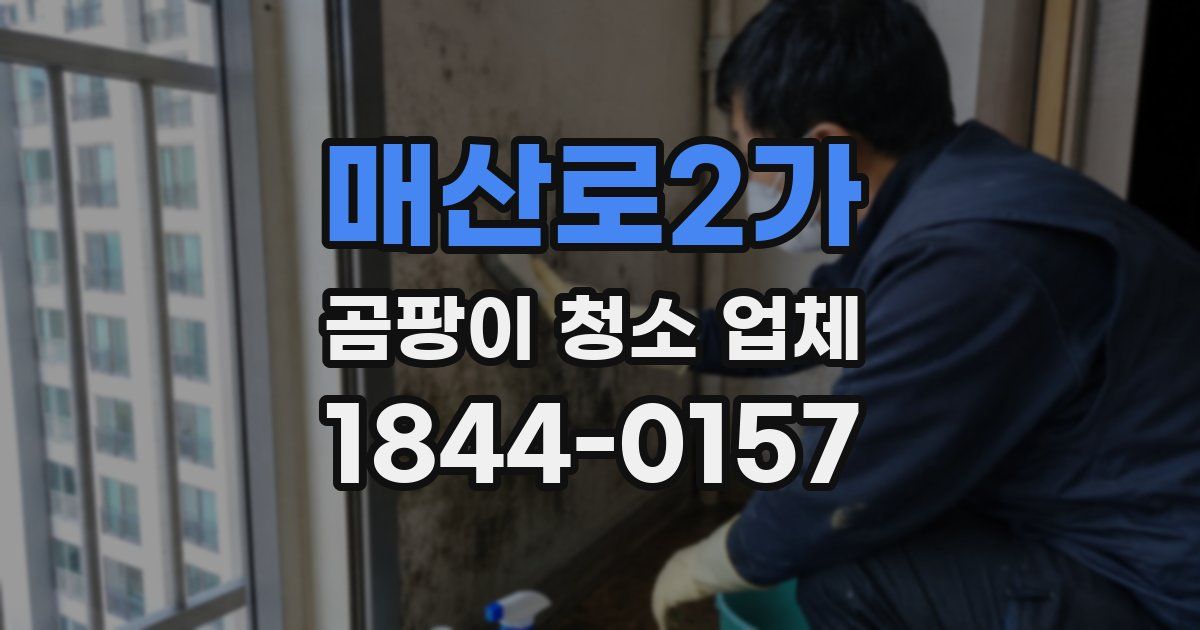 매산로2가 곰팡이 청소 업체
