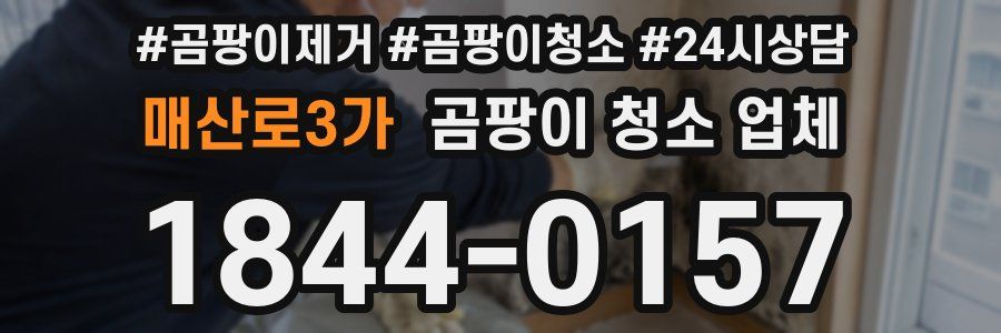 매산로3가 곰팡이 청소 업체
