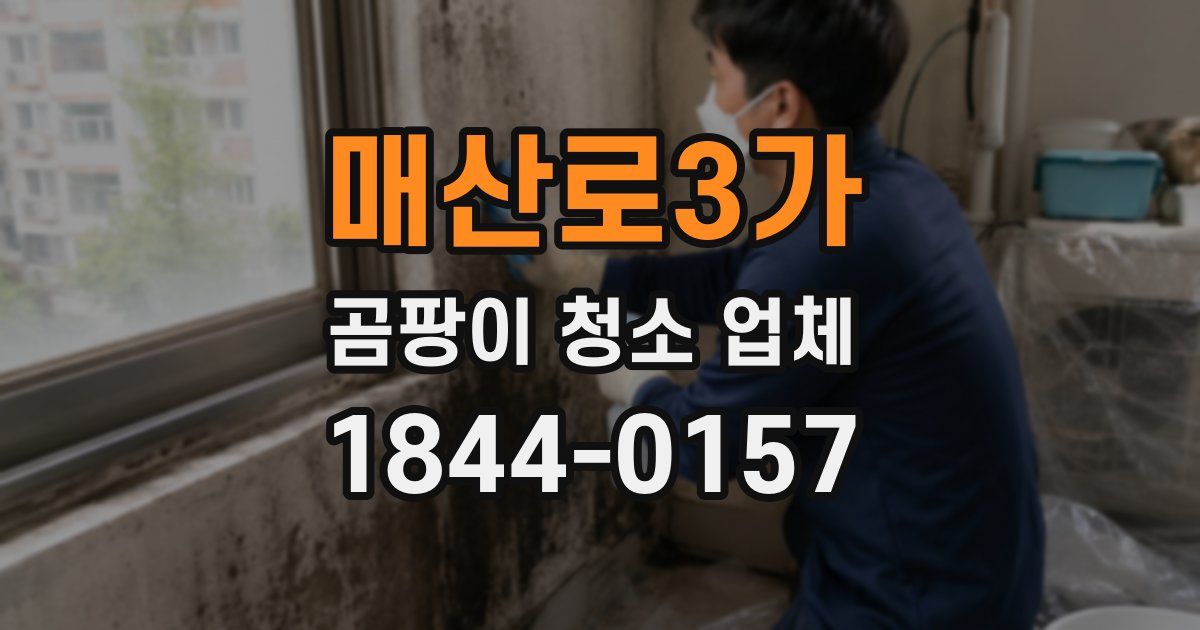 매산로3가 곰팡이 청소 업체
