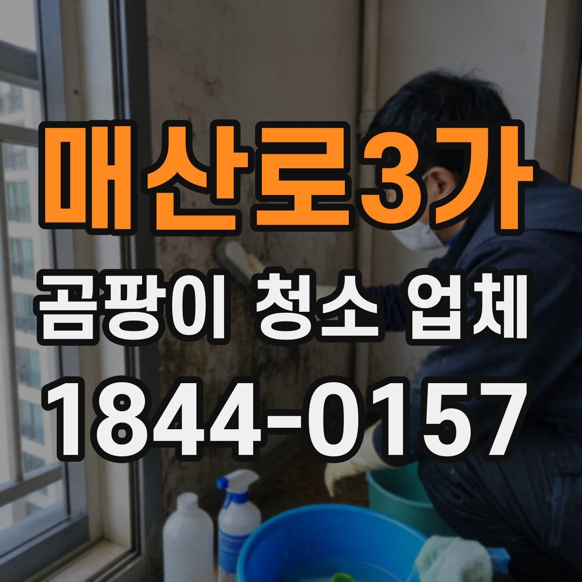 매산로3가 곰팡이 청소 업체