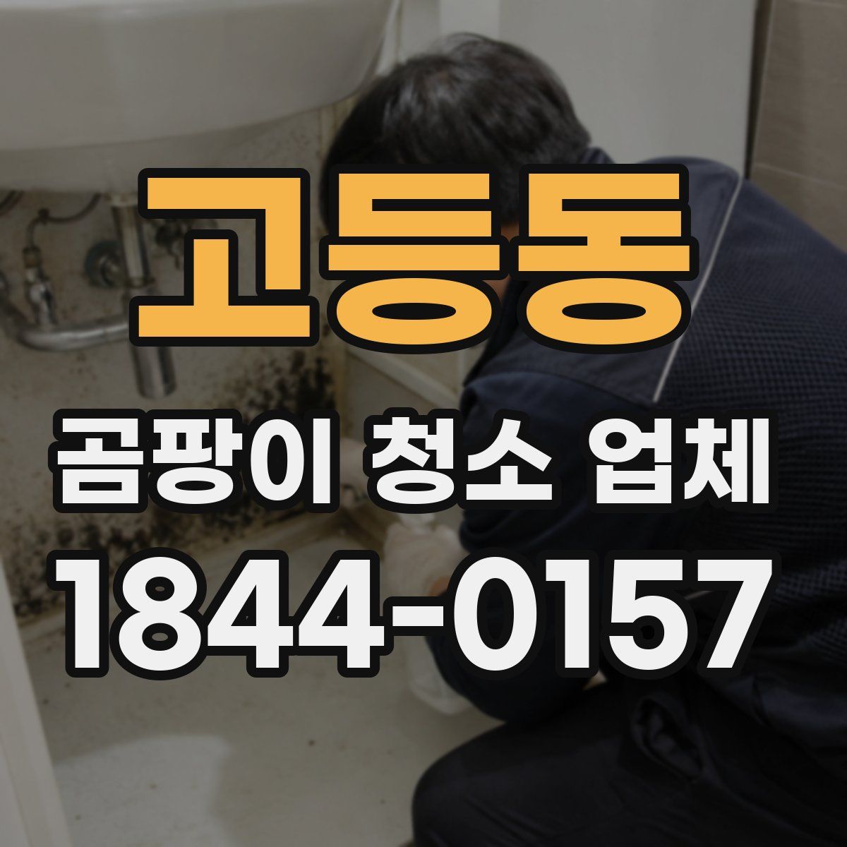 고등동 곰팡이 청소 업체
