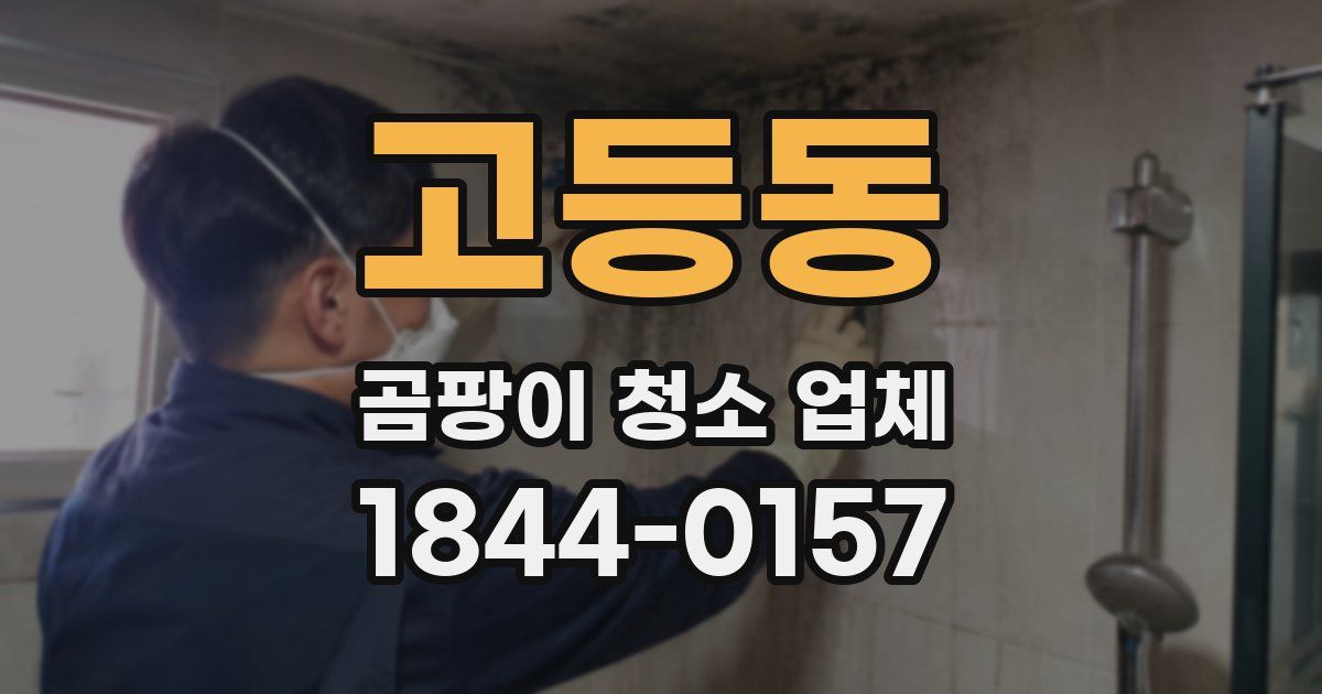 고등동 곰팡이 청소 업체