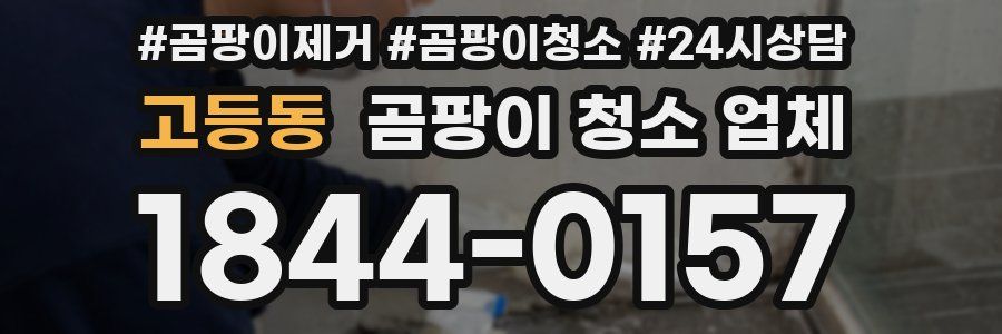 고등동 곰팡이 청소 업체