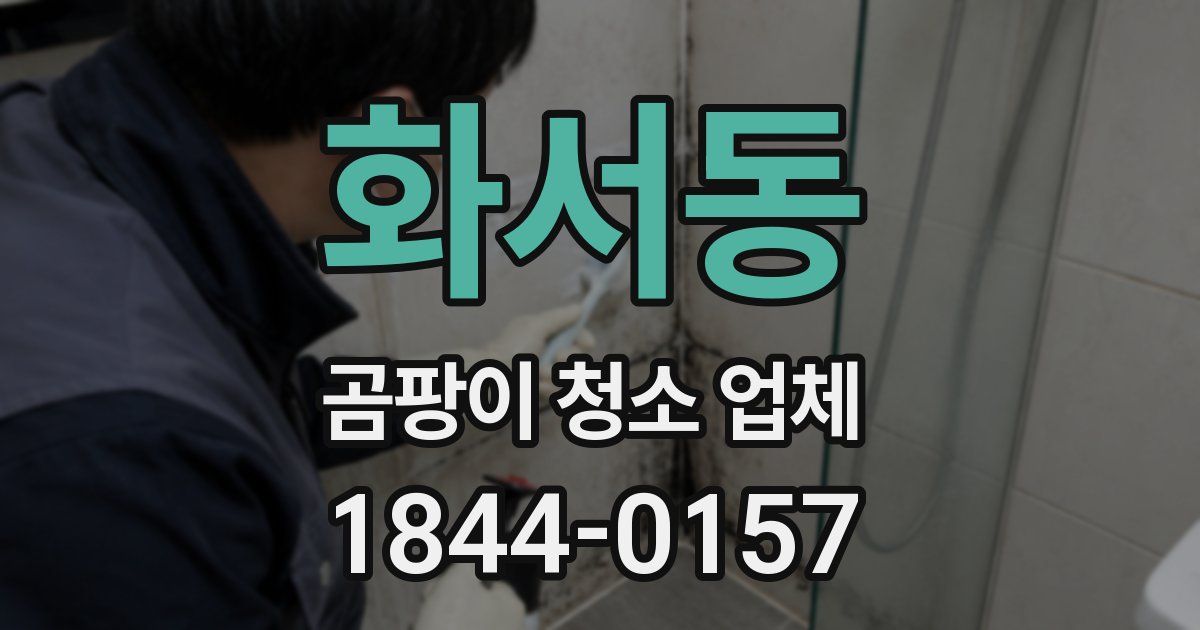화서동 곰팡이 청소 업체