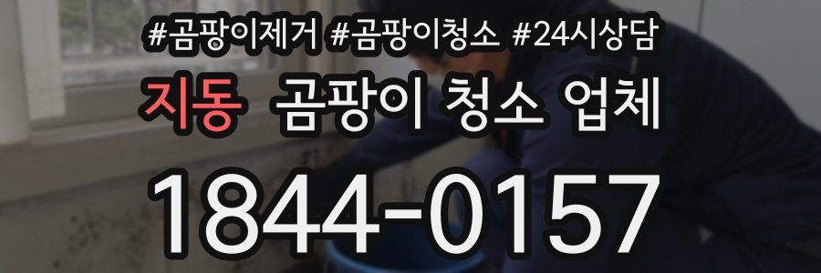 지동 곰팡이 청소 업체