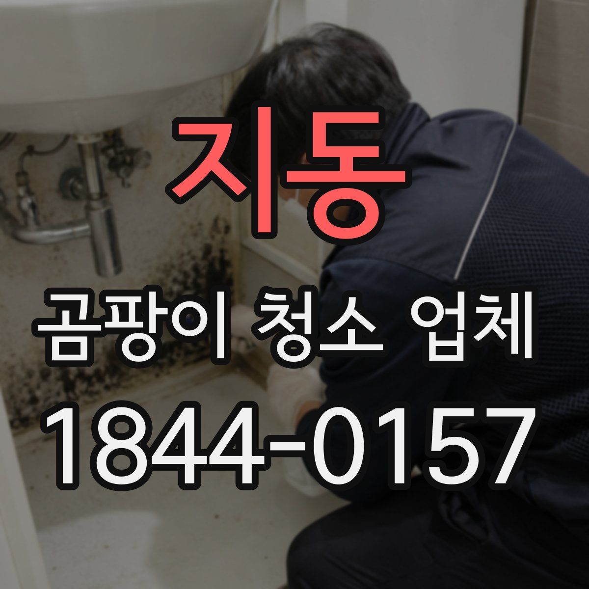 지동 곰팡이 청소 업체