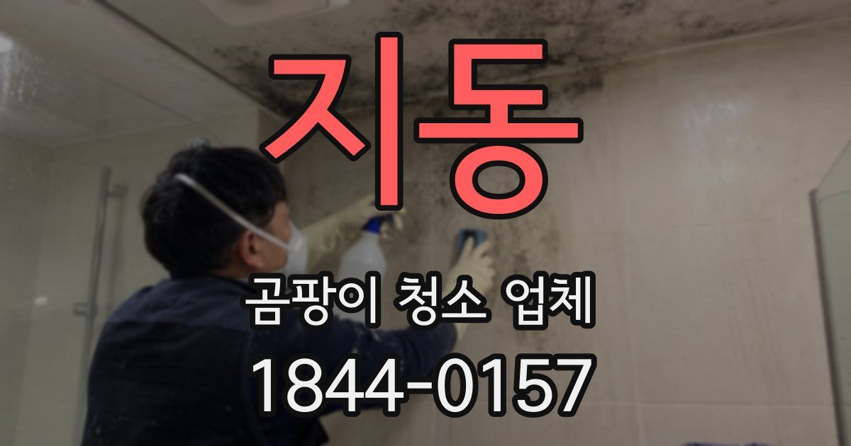지동 곰팡이 청소 업체