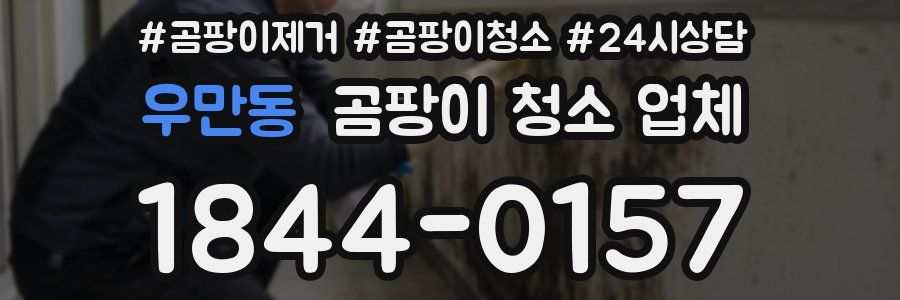 우만동 곰팡이 청소 업체