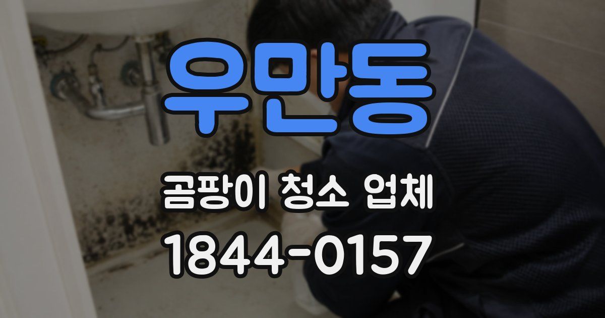 우만동 곰팡이 청소 업체