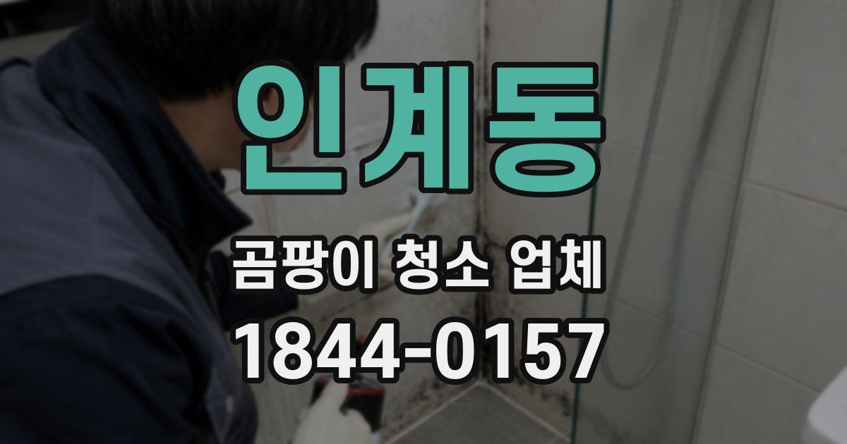 인계동 곰팡이 청소 업체