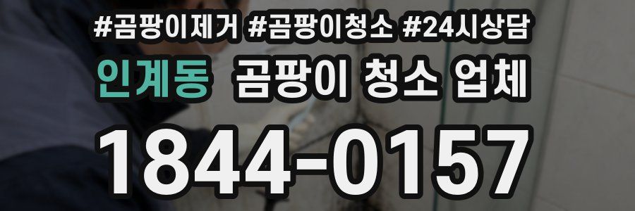 인계동 곰팡이 청소 업체