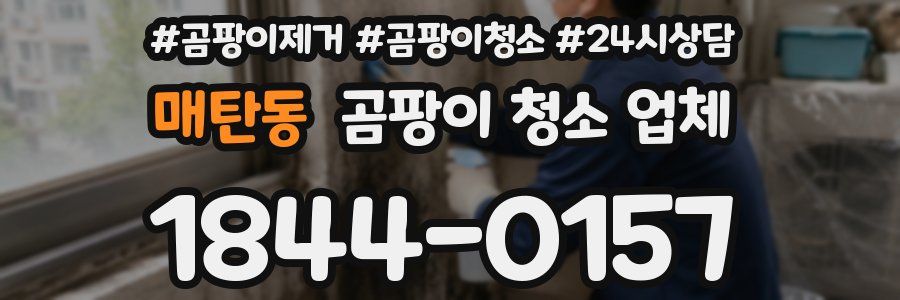 매탄동 곰팡이 청소 업체