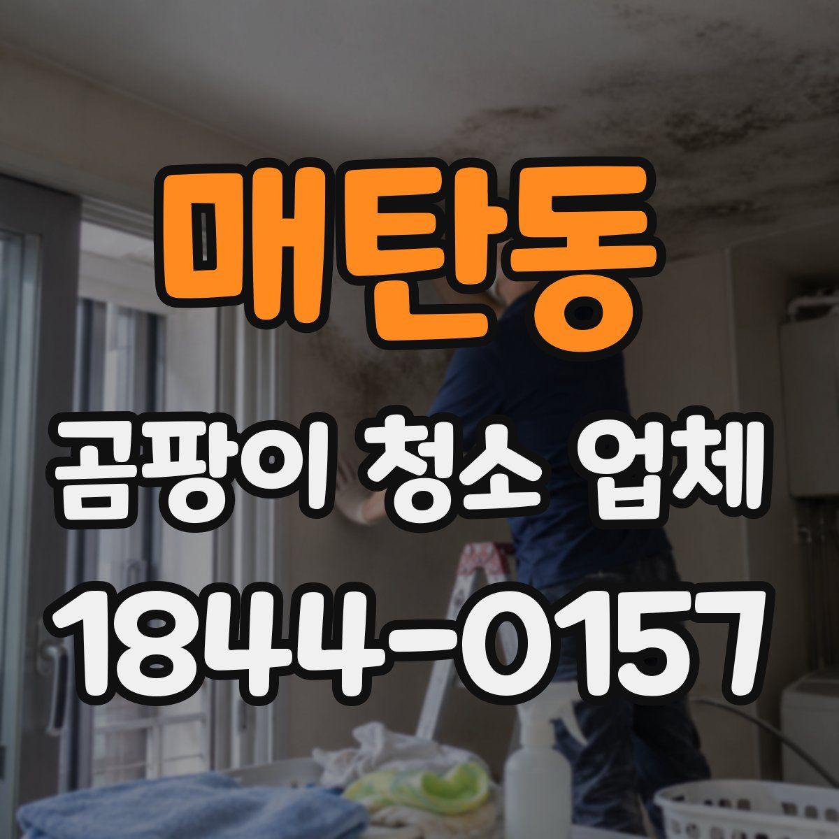 매탄동 곰팡이 청소 업체
