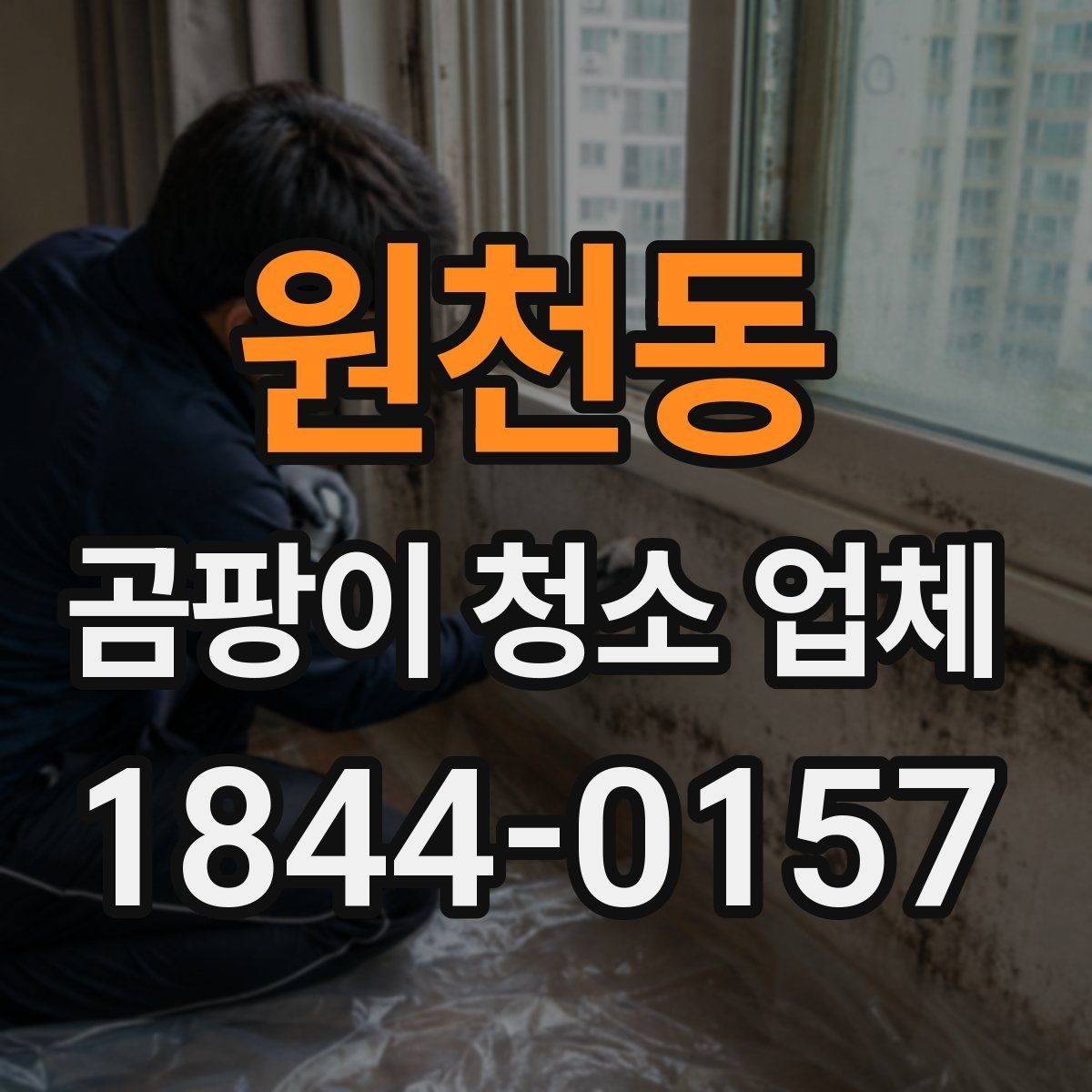 원천동 곰팡이 청소 업체 장마철 실내 습도 높을 때 대비 방법