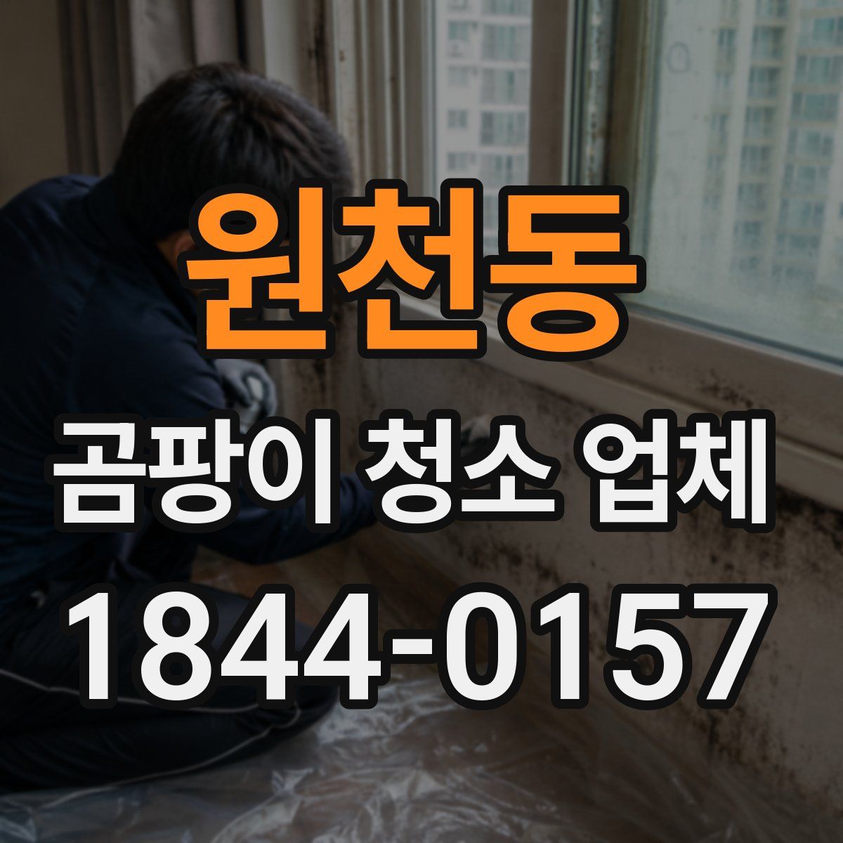 원천동 곰팡이 청소 업체