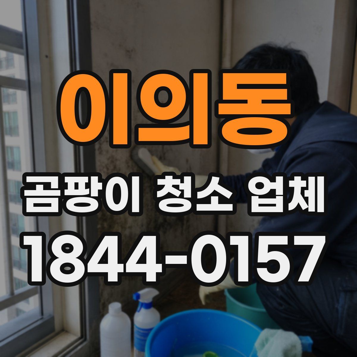 이의동 곰팡이 청소 업체