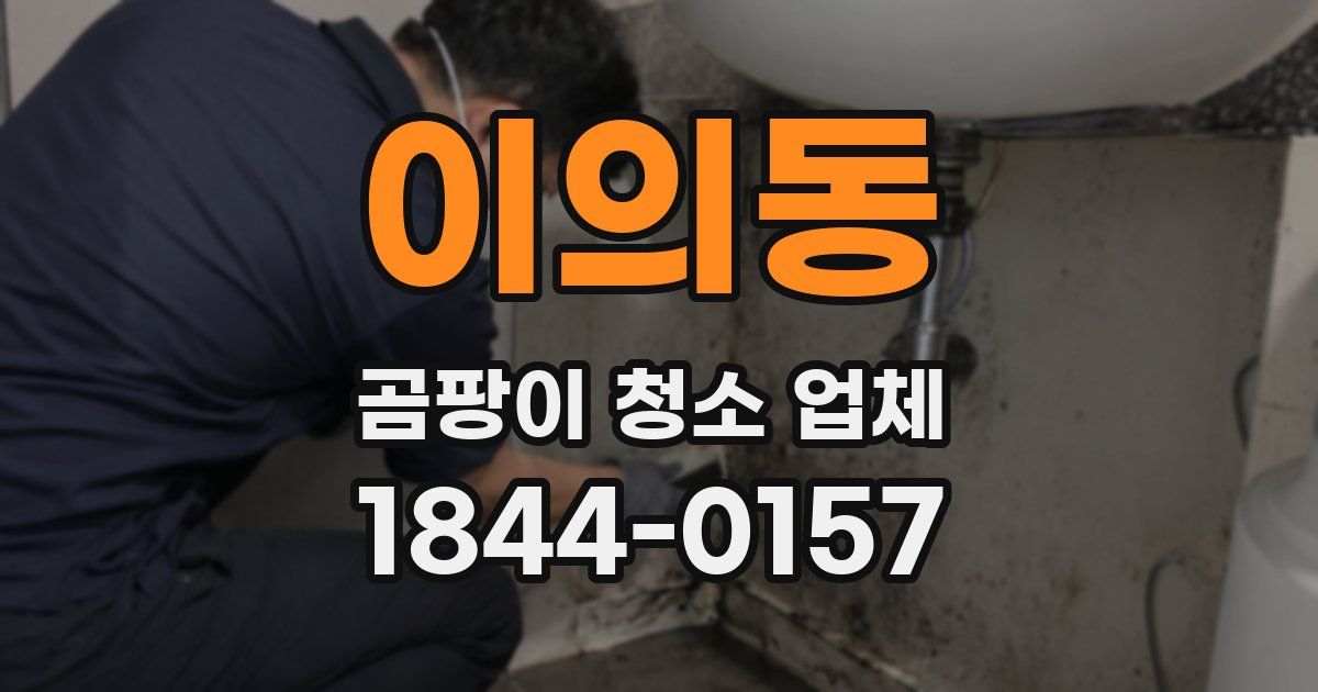이의동 곰팡이 청소 업체