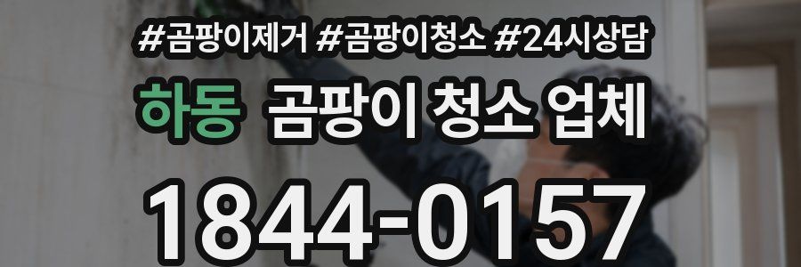 하동 곰팡이 청소 업체