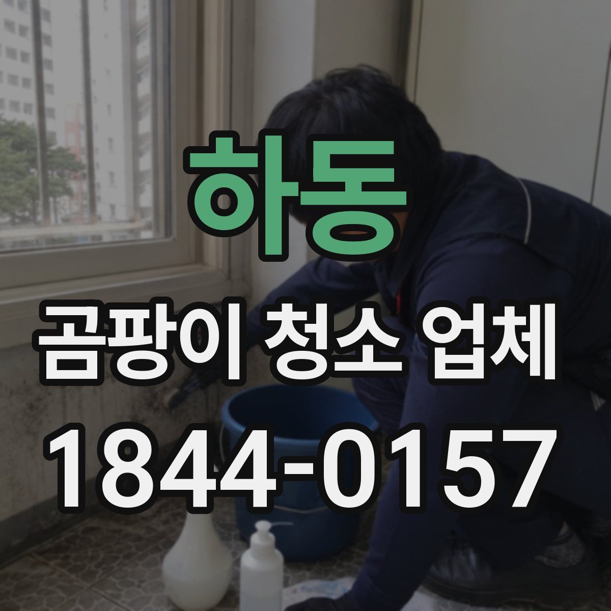 하동 곰팡이 청소 업체