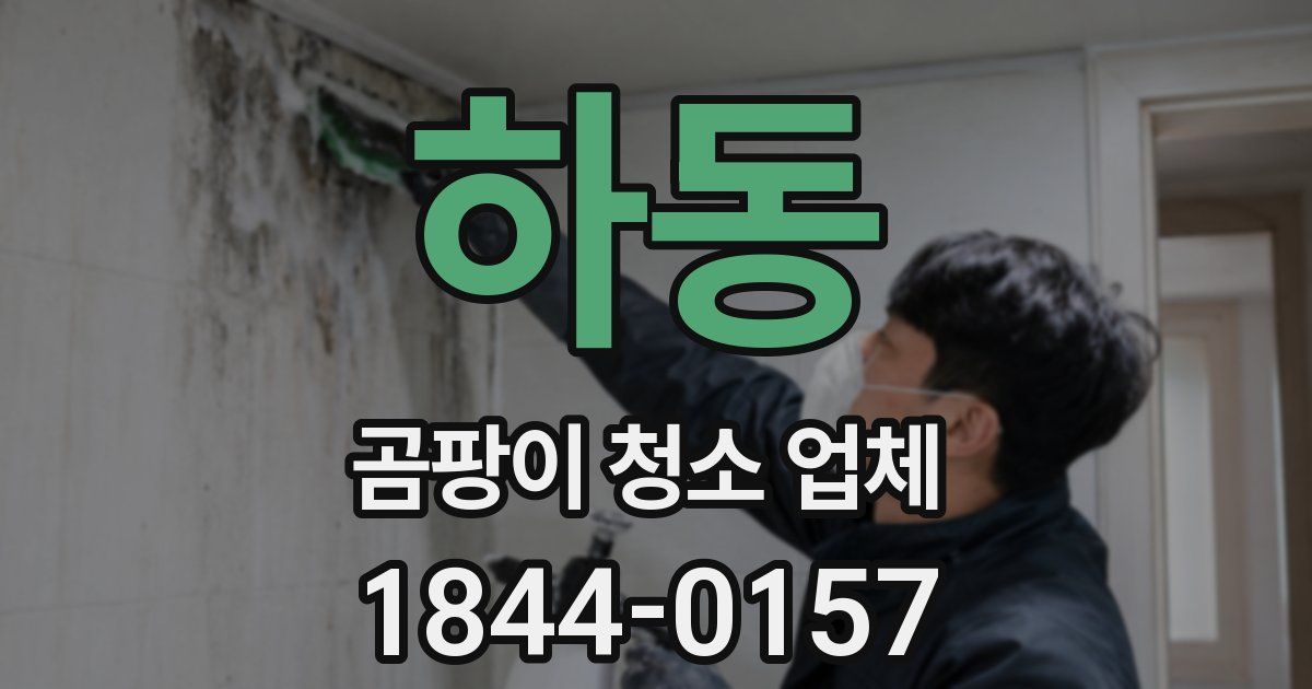 하동 곰팡이 청소 업체