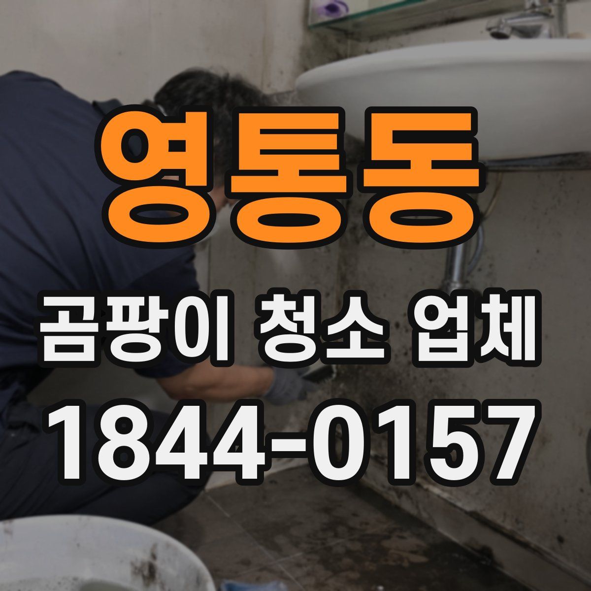 영통동 곰팡이 청소 업체