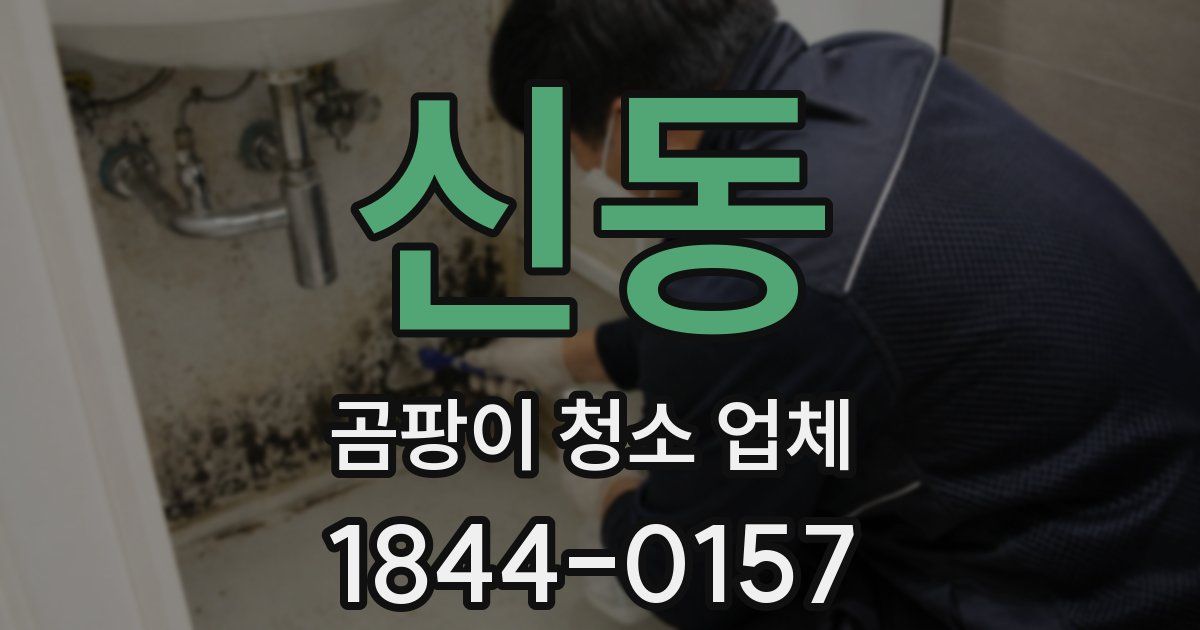 신동 곰팡이 청소 업체