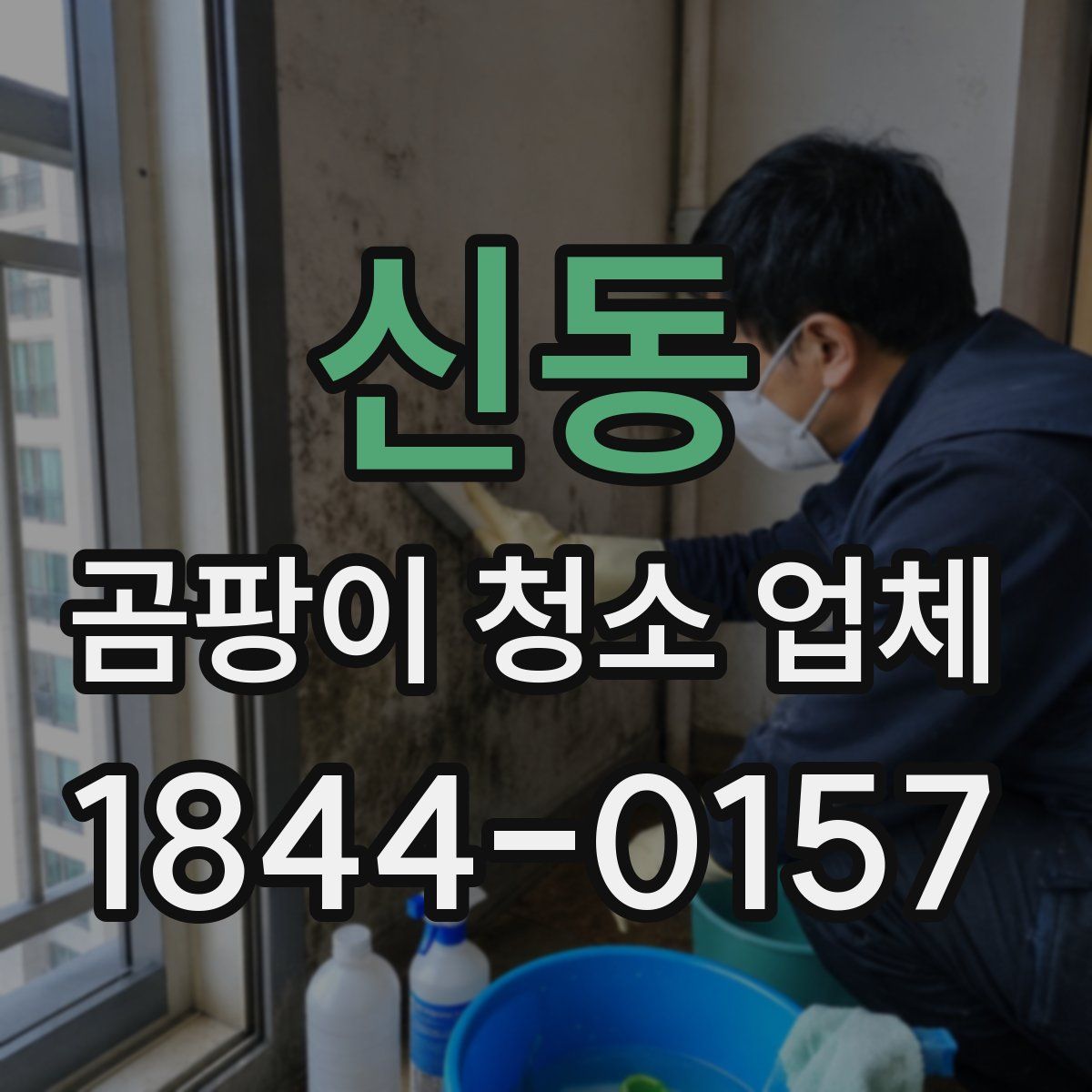 신동 곰팡이 청소 업체