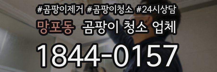망포동 곰팡이 청소 업체