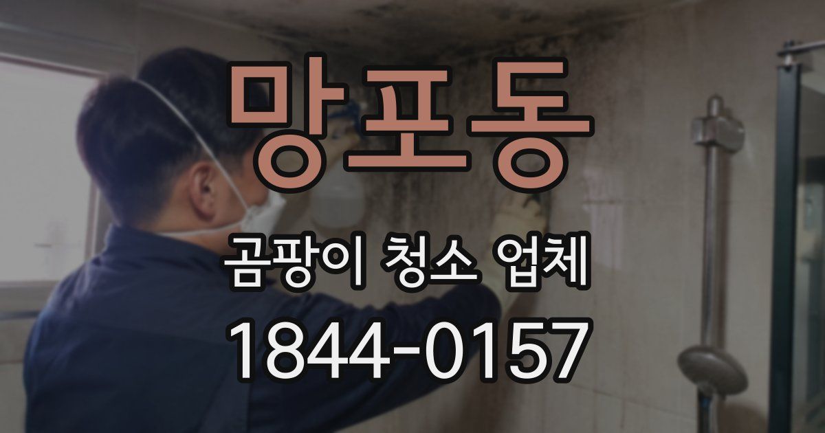 망포동 곰팡이 청소 업체