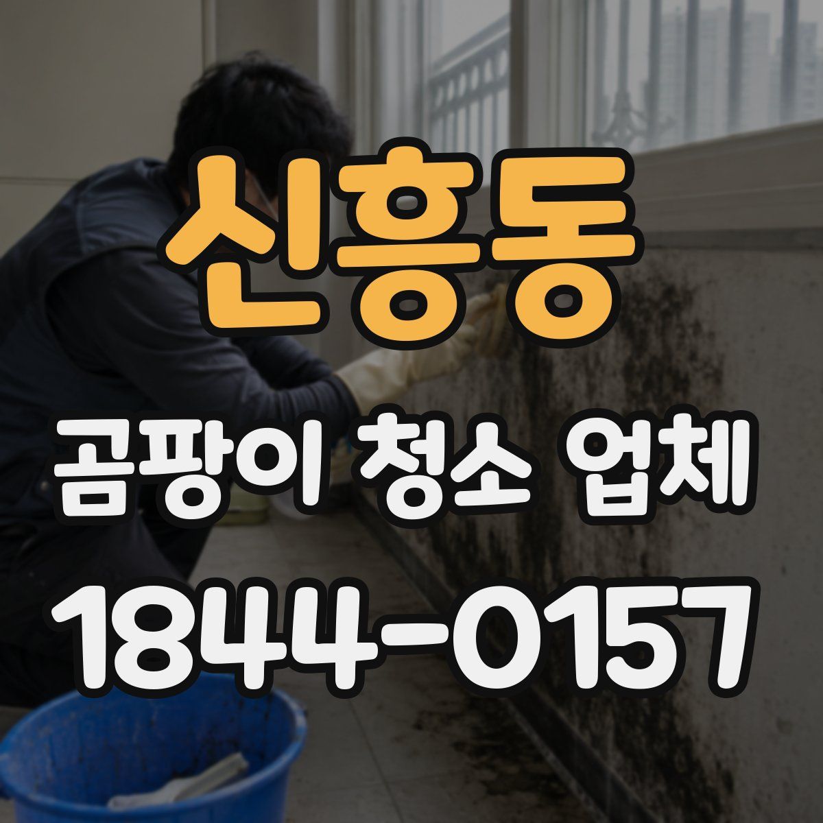 신흥동 곰팡이 청소 업체