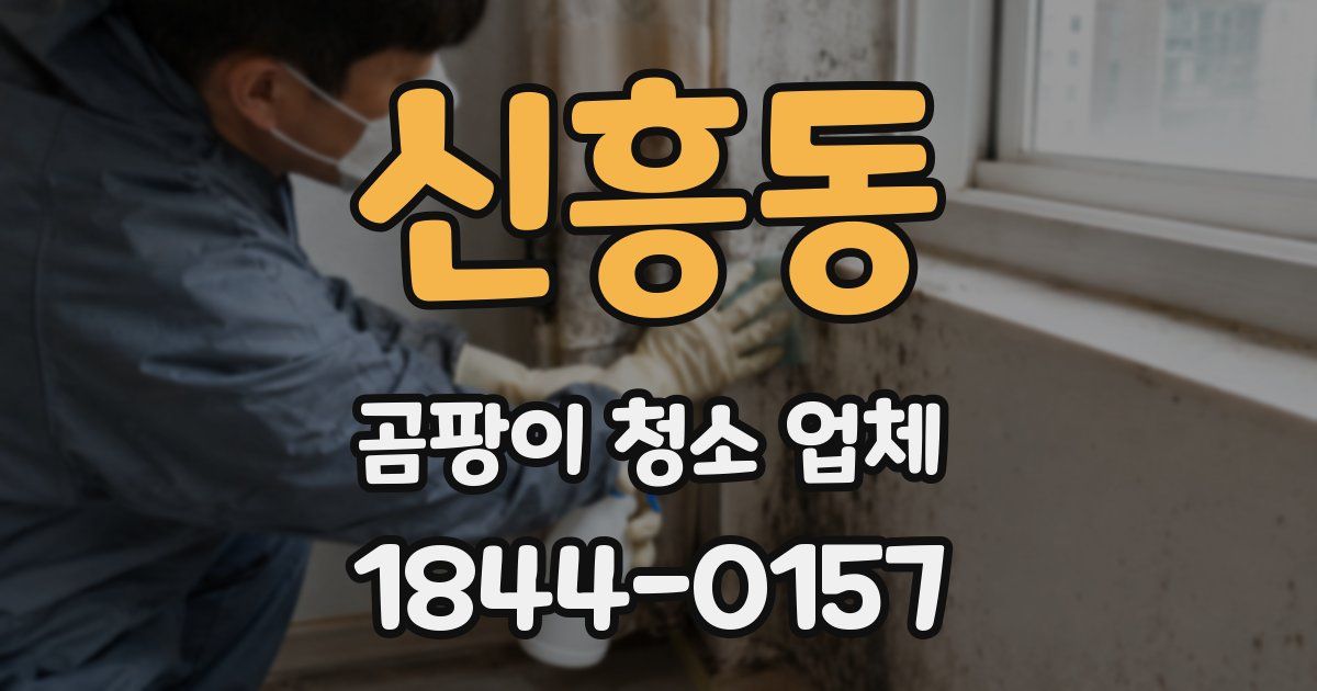 신흥동 곰팡이 청소 업체