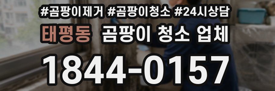태평동 곰팡이 청소 업체