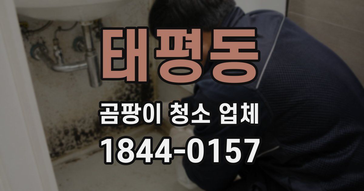 태평동 곰팡이 청소 업체