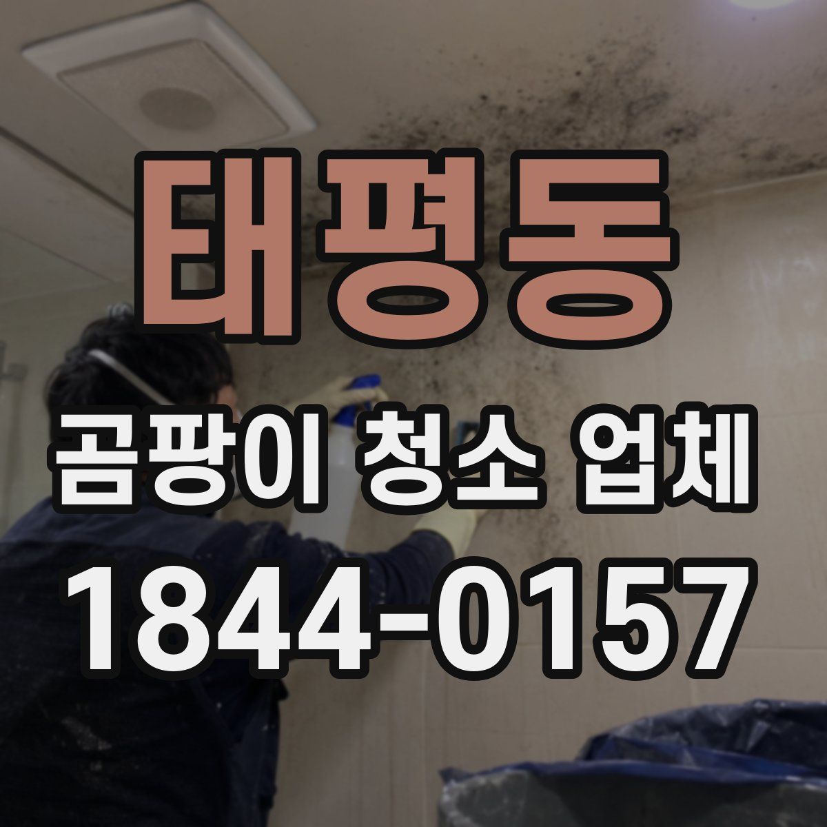 태평동 곰팡이 청소 업체