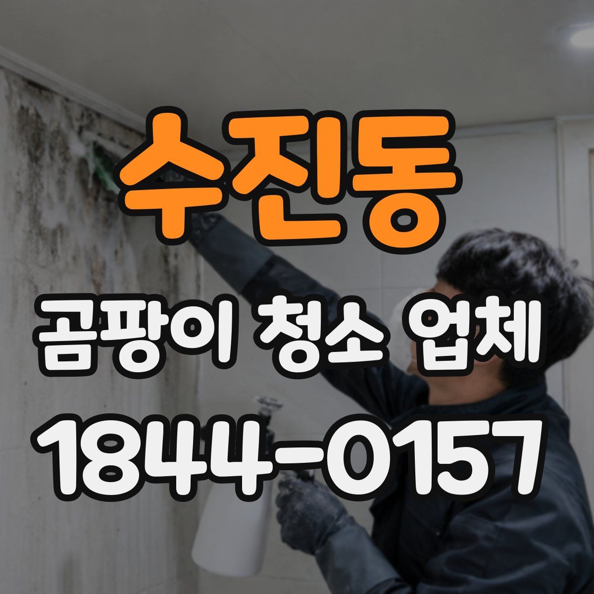수진동 곰팡이 청소 업체