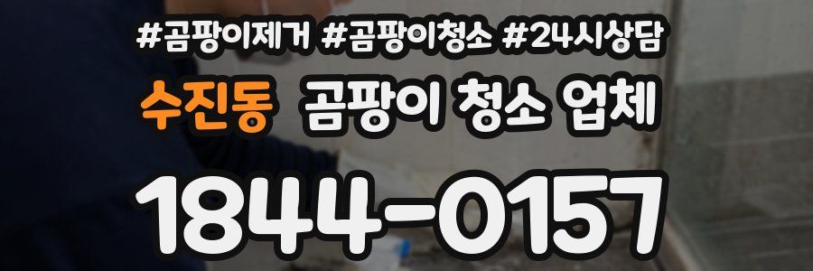 수진동 곰팡이 청소 업체