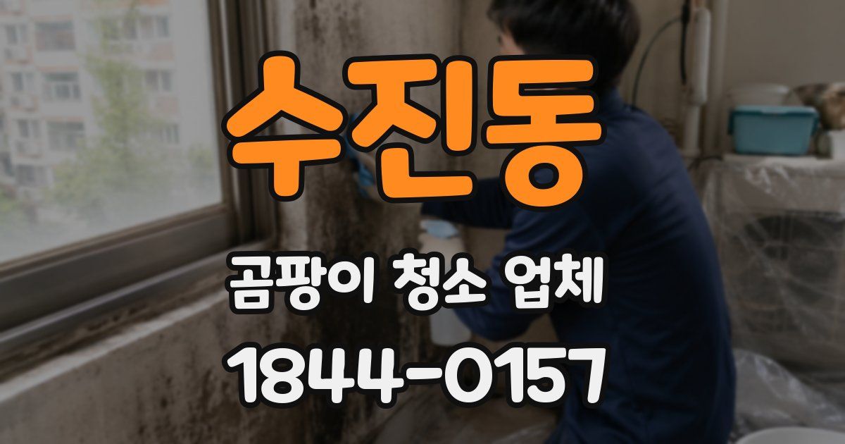 수진동 곰팡이 청소 업체