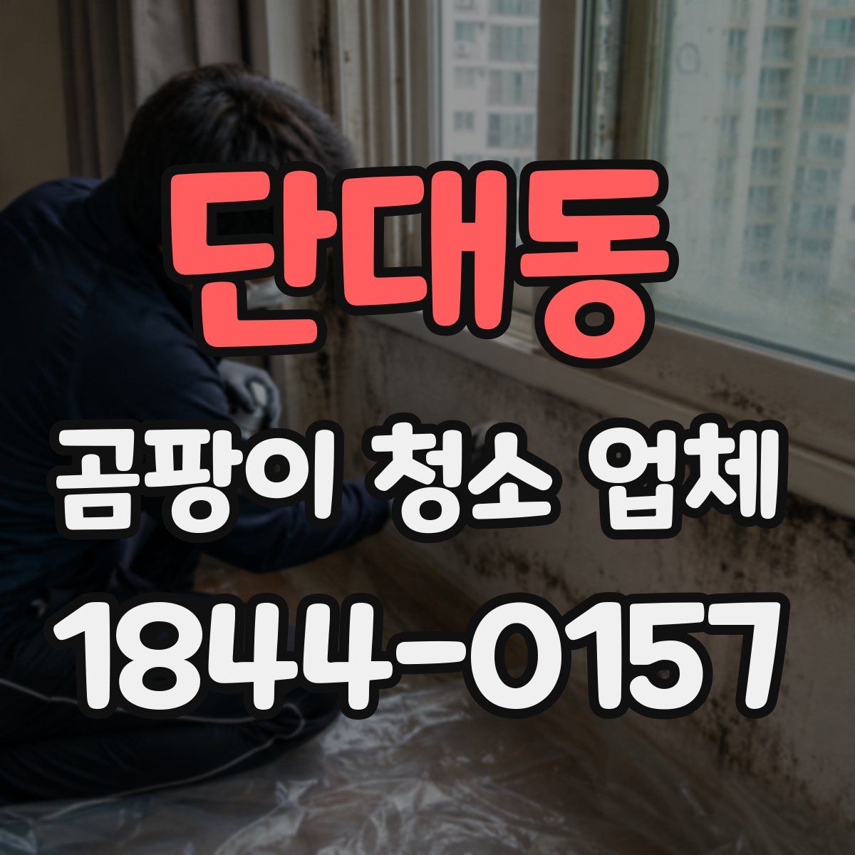 단대동 곰팡이 청소 업체