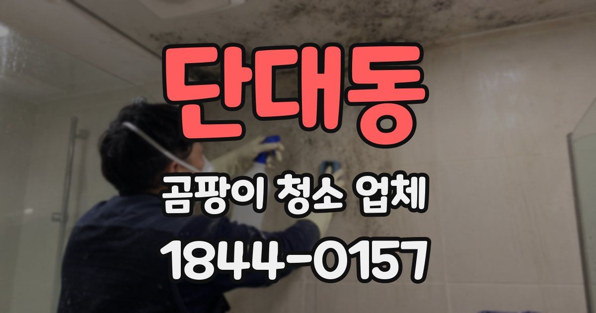 단대동 곰팡이 청소 업체