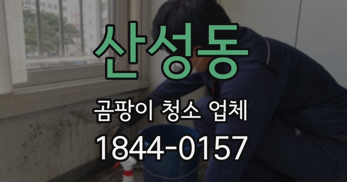 산성동 곰팡이 청소 업체