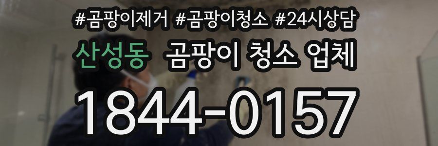 산성동 곰팡이 청소 업체