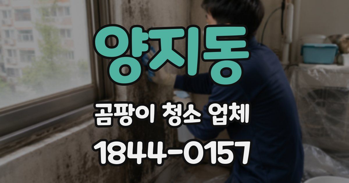 양지동 곰팡이 청소 업체