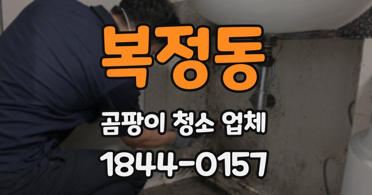 복정동 곰팡이 청소 업체