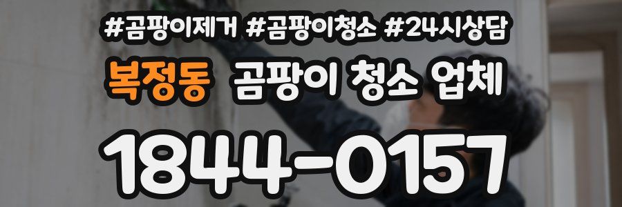 복정동 곰팡이 청소 업체