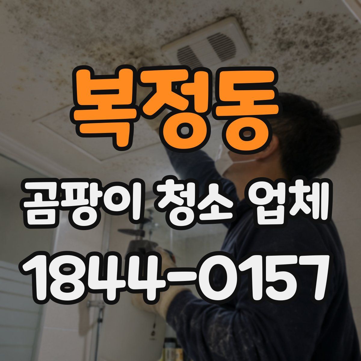 복정동 곰팡이 청소 업체