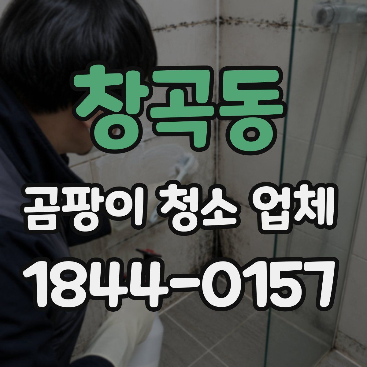 창곡동 곰팡이 청소 업체