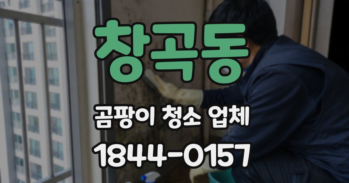 창곡동 곰팡이 청소 업체