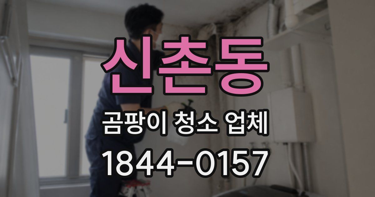 신촌동 곰팡이 청소 업체