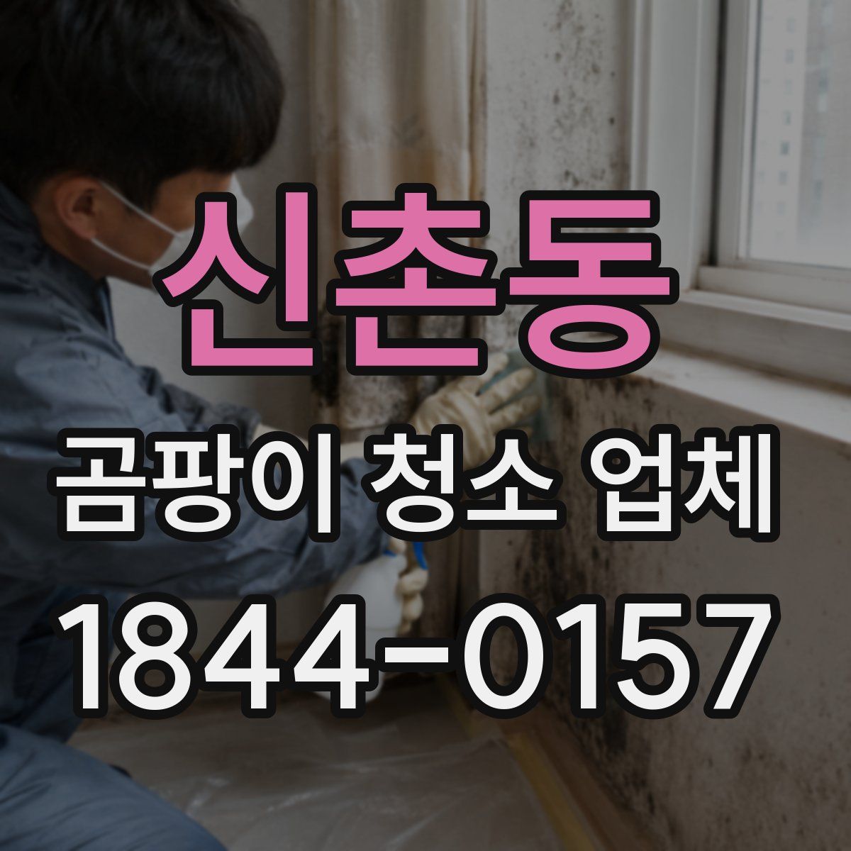 신촌동 곰팡이 청소 업체