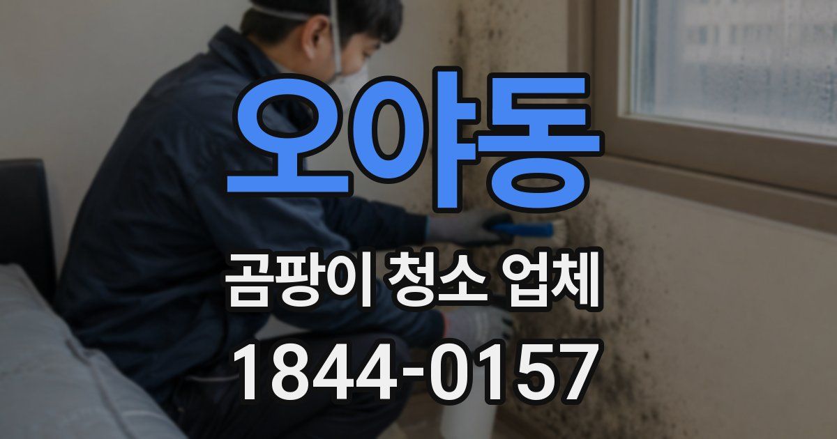 오야동 곰팡이 청소 업체